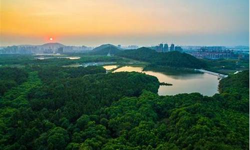 武汉江夏一周天气_武汉江夏天气预