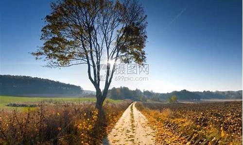 天气晴朗的风景图_天气晴朗自然风景