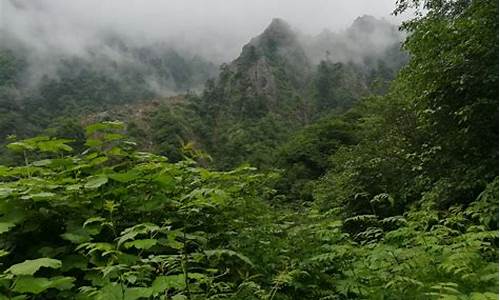 九峰山的天气预报_九峰山天气预报彭州天气