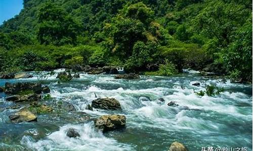 茂兰景区天气预报_茂兰国家级自然保护区天气预报