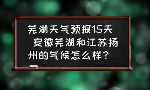 芜湖天气预报15天最新更新的_芜湖天气预报15天查询系统