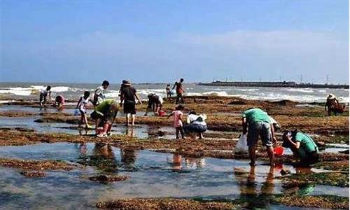 平潭什么天气赶海最好_平潭什么天气赶海