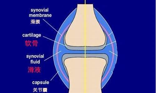 天气一变化膝盖就酸痛怎么回事_天气一变膝盖疼